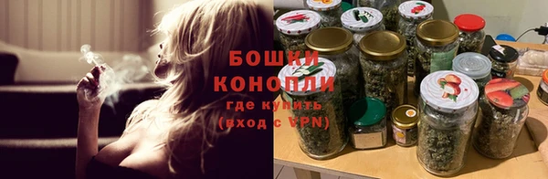 PSILOCYBIN Волосово