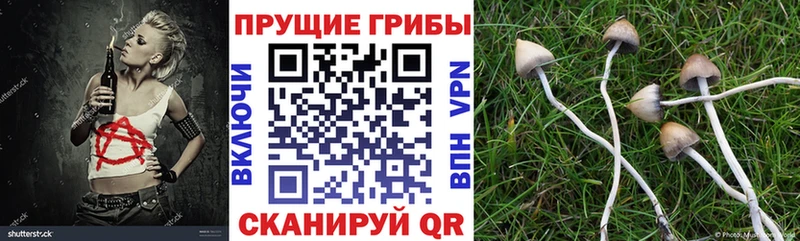 Галлюциногенные грибы ЛСД  купить  цена  Советский 